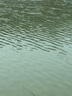 SWANS專(zhuān)業(yè)釣魚(yú)眼鏡日本進(jìn)口偏光鏡防紫外線(xiàn)太陽(yáng)鏡路亞專(zhuān)用墨鏡高清看漂 漁夫款·大號 WA8-0168 MBK 曬單實(shí)拍圖
