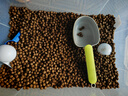 統(tǒng)一 寶多福錦鯉魚飼料增體魚糧增色錦鯉魚食不渾水育成觀賞魚飼料 20kg 主食L大粒7.5mm（上浮料） 曬單實拍圖