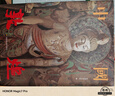 中國(guó)敦煌 曬單實(shí)拍圖