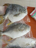 翔泰 海南金鯧魚凈重900g 2條裝  魚類生鮮 燒烤 火鍋食材 海鮮水產(chǎn) 曬單實(shí)拍圖