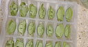 三全兒童水餃組合 蝦仁玉米+三文魚(yú)嫩青菜300g*2盒84只 速凍兒童早餐 曬單實(shí)拍圖