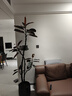 花城水調黑金剛橡皮樹客廳綠植大盆栽造型室內四季好養(yǎng)辦公室陽臺大型植物 橡皮樹1.7-1.9m+黑砂圓柱玻璃鋼盆 曬單實拍圖