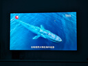 Vidda發(fā)現(xiàn)X Pro 2026款 100英寸 330Hz超高刷低反屏 4224分區(qū)QD-Mini LED 100VX5Q-PRO 100英寸 曬單實拍圖