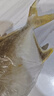 北海灣 新鮮海捕金鯧魚(yú) 大鯧魚(yú)海鮮平魚(yú)冷凍扁魚(yú)冰鮮大鯧魚(yú)海魚(yú)銀魚(yú)魚(yú)類 【凈重600-800克/條】 共4條 曬單實(shí)拍圖