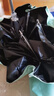 天瑋傘業(yè)（Tianwei umbrella）太陽(yáng)傘防曬防紫外線(xiàn)女晴雨兩用遮陽(yáng)傘五折膠囊傘雨傘迷你可定制 曬單實(shí)拍圖