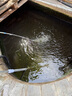 森森（SUNSUN）錦鯉魚池吸污機(jī)吸便器池塘吸污器吸泥機(jī)水池吸污泵魚糞便清潔工具 80瓦10米電線套餐三角盤 曬單實(shí)拍圖