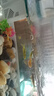 蝶翼斑馬魚長尾長鰭觀賞魚冷水小型淡水金魚活體好養(yǎng)淡水觀賞魚 翡翠綠3.5-4厘米5+1條備損發(fā)6 曬單實(shí)拍圖