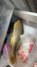 GUO LIAN國(guó)聯(lián) 三去黃花魚2條 共凈重2斤國(guó)產(chǎn)寧德東海大黃魚 海鮮水產(chǎn)生鮮 曬單實(shí)拍圖
