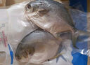 1號(hào)會(huì)員店（One's Member）甄選海南二去金鯧魚去鰓去內(nèi)臟生鮮魚類 海鮮水產(chǎn) 700g/2條裝 曬單實(shí)拍圖