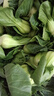 寧夏青菜新鮮蔬菜上海青供港小青仔軟糯清甜小青菜小油菜矮腳青菜 5斤 曬單實(shí)拍圖
