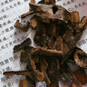 正宗天然沉香木老料奇楠沉香手鏈原木碎料助眠持久留香佛珠薰香 正宗天然沉香 5克【限量10單虧本體驗裝】 曬單實拍圖