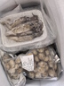 朵芙扇貝肉 扇貝粉絲蒜蓉 扇貝柱 超大帶黃扇貝肉生鮮貝類冷凍 【商超同售】超大帶黃扇貝肉2斤 曬單實拍圖