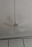 志高（CHIGO）小吊扇 小型電風(fēng)扇 小風(fēng)扇家用學(xué)生宿舍床上大風(fēng)力6頁蚊帳扇懸掛式微風(fēng)吊扇便攜小電扇 新升級-標(biāo)配款6葉 曬單實(shí)拍圖