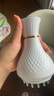 康仕坦電動經(jīng)絡(luò)刷疏通按摩器揉腹儀全身通用多功能加熱震動美容筋絡(luò)神器腹背部手臂腿肩頸肚子刮痧按摩刷 珍珠白 19檔【微電脈沖+紅光熱敷+高頻振動】 七夕情人節(jié)禮物送禮推薦 曬單實(shí)拍圖
