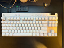 羅技（G）PRO X TKL RAPID/GPW RT快銀磁軸電競鍵盤 FPS/無畏契約  RT快速觸發(fā)（白色） 曬單實拍圖