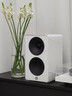 YTFY柏林之聲2025新款高品質(zhì)HIFI藍(lán)牙音響家用重低音低音炮音箱大音量 白色 曬單實拍圖