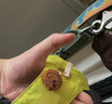 拉夫威爾ruffwear嗨輕狗狗胸背帶狗背帶中小型犬雪納瑞背帶式狗狗牽引繩 朝霞粉 M 曬單實(shí)拍圖