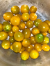 夏日陽(yáng)光小番茄黃色迷戀圣女果即食水果小柿子現摘現發(fā)減肥早餐 4斤 曬單實(shí)拍圖
