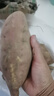 枝遙（ZHIYAO）正宗 板栗蜜薯10斤西瓜紅紅薯 黃心紅薯現(xiàn)挖現(xiàn)發(fā)現(xiàn)挖新鮮蜜薯地瓜 紅薯 帶箱5斤小果 曬單實拍圖