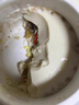【天然魚膠】天然花膠干貨魚膠干貨補充膠原蛋白煲湯另售黃花魚膠 5A魚膠100克（約14個） 曬單實拍圖