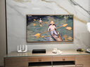 三星（SAMSUNG）The Frame 新品畫壁藝術(shù)電視LS03D/LS03F系列 超薄 4K超高清 QLED量子點 啞光屏顯 65英寸 QA65LS03DAJXXZ（2024） 曬單實拍圖