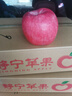 甘肅靜寧莊浪冰糖心脆甜晚熟紅富士蘋(píng)果85mm99元/24枚包郵 紅色 85以上 曬單實(shí)拍圖