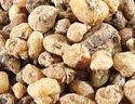 北京同仁堂山慈菇中藥山慈菇中藥材500g山慈姑山茨菇新鮮慈姑野生云南毛慈菇 山慈菇500克 曬單實拍圖
