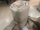 塔吉比（TAKIBI）海外標SAMTOPIA拉絲充氣床墊彈絲氣墊床戶外露營打地鋪帳篷睡墊 三人PVC床墊20cm+無刷泵 曬單實拍圖