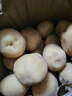 湖北恩施高山黃心小土豆新鮮洋芋9斤土豆馬鈴薯農家自留種馬爾科 凈重9斤 (鵝蛋大小) 曬單實(shí)拍圖