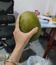 閩農(nóng)語果四川攀枝花凱特芒當(dāng)季新鮮水果現(xiàn)摘熱帶水果整箱送禮凱特大芒果 凈重4.5斤丨單果290-400g丨實惠裝 個大飽滿 老樹大果(芒果需要催熟再食用) 曬單實拍圖