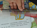 貓覓鋼排梳貓咪梳毛去浮毛專(zhuān)用神器長(cháng)短尺深層清潔賽級挑毛梳子 賽級 長(cháng)短+疏密齒 【長(cháng)毛貓推薦】 曬單實(shí)拍圖