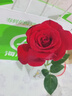高潔絲少女肌190mm18片日用超薄綿柔迷你護(hù)翼型護(hù)墊衛(wèi)生巾 曬單實(shí)拍圖