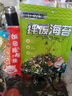 海貍先生 拌飯海苔碎 兒童寶寶海苔碎 休閑零食壽司食材 1袋*100g 曬單實拍圖