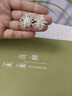 伊燦李一桐同款輕奢高級(jí)感煙花耳釘女小眾個(gè)性耳環(huán)2025年新款爆款耳飾 李一桐同款輕奢煙花耳釘【銀色】 曬單實(shí)拍圖