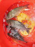 六魚(yú)雙層卸水魚(yú)護501 便攜加厚涂膠網(wǎng)兜布防掛速干防臭野釣黑坑裝魚(yú)袋 30cm 2m 排水更快/方形+魚(yú)護包 曬單實(shí)拍圖