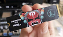梵想（FANXIANG）256GB SSD固態(tài)硬盤 M.2接口NVMe協(xié)議 精選TLC顆粒 一體機臺式機筆記本電腦AI PC存儲配件 S500Pro 曬單實拍圖