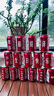 可口可樂（Coca-Cola）可樂定制易拉罐十歲男孩生日禮物12男孩兒童男童女孩18成年禮刻字 【18歲未來可期模板16瓶】 曬單實(shí)拍圖