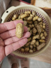 新鮮濕花生帶殼花生現(xiàn)挖當(dāng)季粉皮泥殼花生水煮生吃農(nóng)家紅皮小花生 粉皮濕花生1斤 帶殼帶泥發(fā)貨，介意慎拍 曬單實(shí)拍圖