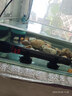 SOBO松寶 魚缸加熱棒自動(dòng)恒溫水族箱魚缸小型烏龜缸加熱器加溫棒 HTC-50W特氟龍【精準(zhǔn)控溫 耐腐蝕】 曬單實(shí)拍圖