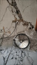 鉆石牌工業(yè)風(fēng)扇趴地扇臺(tái)式趴地電風(fēng)扇強(qiáng)力商用臺(tái)地扇大功率趴地風(fēng)扇工廠坐地扇大風(fēng)力EF-40L 曬單實(shí)拍圖