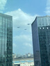 博世（BOSCH）Performance系列雨刮器雨刷26/19(17后邁騰B8/19后帕薩特/蔚攬) 曬單實(shí)拍圖