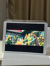 Apple 蘋果iPad Pro 2015/16/17系列2018款二手平板電腦 I款：iPad Pro17款12.9英寸256G 95成新 曬單實(shí)拍圖