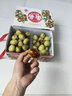 京碩果陜西大荔新鮮冬棗當季水果冰糖脆棗牛奶青紅棗整箱 2斤【嘗鮮裝】 曬單實(shí)拍圖