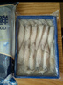 賣魚七郎全籽筆管魚2斤（含保護(hù)冰100g）魷魚海兔子籽烏滿籽帶籽軟足類 曬單實(shí)拍圖