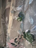 新款新中式國(guó)風(fēng)花朵亮片刺繡馬甲重工輕奢氣質(zhì)設(shè)計(jì)感上衣 綠色馬甲 S 曬單實(shí)拍圖
