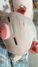 名創(chuàng)優(yōu)品（MINISO）小豬B-BO彈力超柔趴姿毛絨公仔玩偶抱枕玩具娃娃女友生日禮物女 曬單實(shí)拍圖