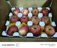 京鮮生山東煙臺紅富士 蘋果 凈重5斤單果200g+ 新鮮水果 源頭直發(fā) 曬單實拍圖