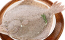 其他品牌冰鮮多寶魚(yú)1條（原重450g起） 曬單實(shí)拍圖