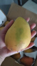 柏饞海南小臺(tái)農(nóng)芒果新鮮現(xiàn)摘小臺(tái)芒應(yīng)當(dāng)季熱帶水果南方特產(chǎn)甜心熟芒果 9斤 凈重8.5斤 大果單果90-120g 曬單實(shí)拍圖
