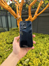 幸福楚夢(mèng)oppo reno14手機(jī)殼新款冰感散熱reno14pro晶透玻璃reno13鏡頭膜reno12/11石墨10全包防摔套pro男女 【石墨色】冰感散熱*帶鏡頭膜 OPPO Reno14 曬單實(shí)拍圖